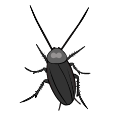 Funny Cockroach : Animated Stickers