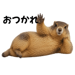 animals_20260607165244