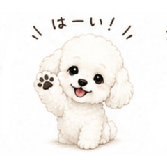 kawaiisiroiinu