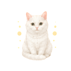 Sweet White Kitty Stickers