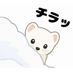 Master_20260607211345