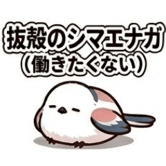 shachiku no shimaenaga