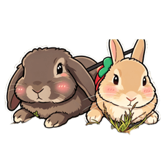 haru.natsu.mammy_20260608104742