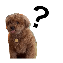 IDOLchoco