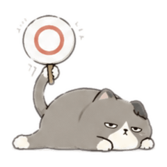 tomato_20260608112837