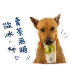 I人E狗的日常更1