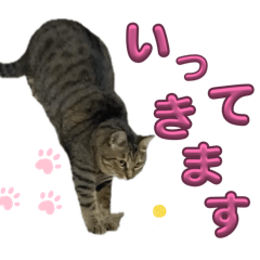 me_20260606012249