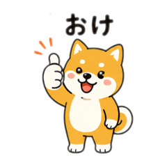 Shibamaru_20260608171539