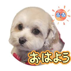 eiko_20260608171246