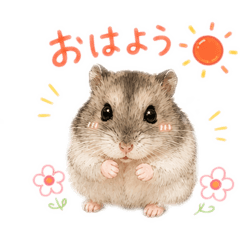 ♡♡♡kawaii♡♡♡