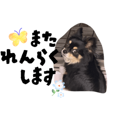 miyu_20260608215049