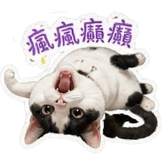 三寶特工-元寶篇