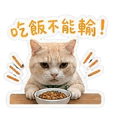 三寶特工-橘子篇