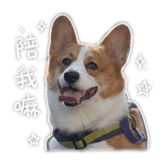 錢錢①