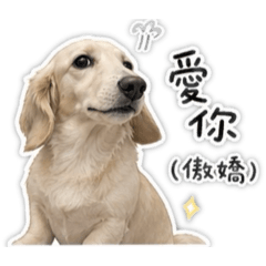 是倆三欸！
