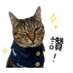 萊萊全家店員