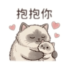 寶豬胖吉