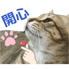 瘋狂妙妙III