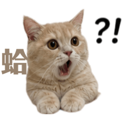 Rubi碎碎念