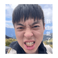 馬爾濟斯表情包-武陵特輯
