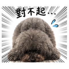 妞ㄉ一天