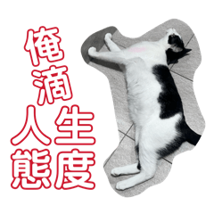 喵的態度
