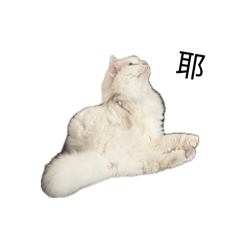 怎樣ㄌ