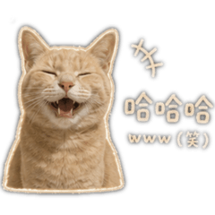奶茶色小貓nana醬