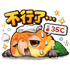 凱克鸚鵡-電力歸零