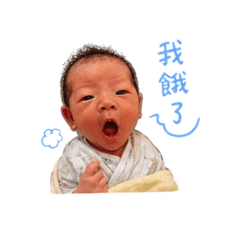可愛小橙橙日常用語