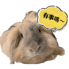 日常圖~