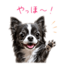 AZU_20260608223010
