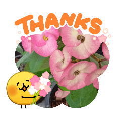 tavon_20260501113750