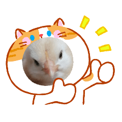 Wichayada_20260501113854