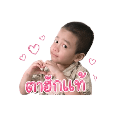 pai_20260501114458