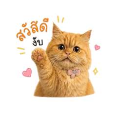 Gam_20260501120619