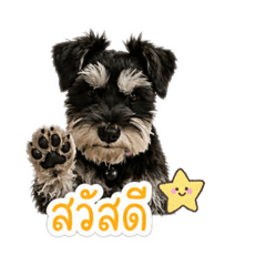Tipawan_20260501121059