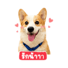 I dear sticker_20260501125605
