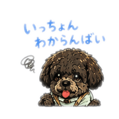 n_20260606010946