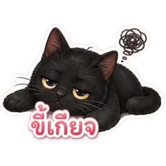 Lalili_20260501131428