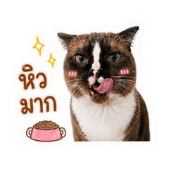 Peem_20260501131401