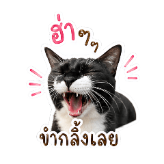 GonmakeNaNa_20260501131338