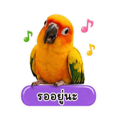 Tippawan_20260501131910