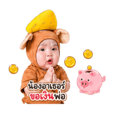Mata_20260501132625