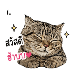 So cute Studio_20260501131341