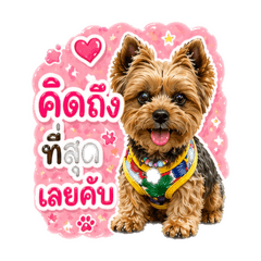YinG_20260501133522