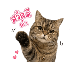 Itsrealtity_20260501134249