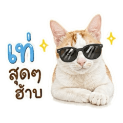 Mongkol poet pratu hai piak noi