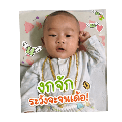 wathinee_20260501134651
