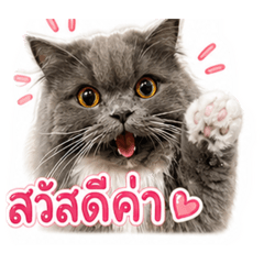 Tong_20260501134158